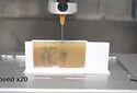 Подсолнечную пыльцу превратили в чернила для 3D-печати