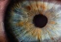 Алгоритм узнал настоящее фото по равным зрачками глаза