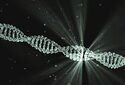 Учёными исследован потенциал систем структур данных на основе ДНК