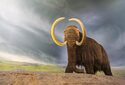 5 гигантских доисторических животных