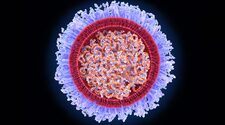 Это вирусы, которые вакцины мРНК могут взять на себя